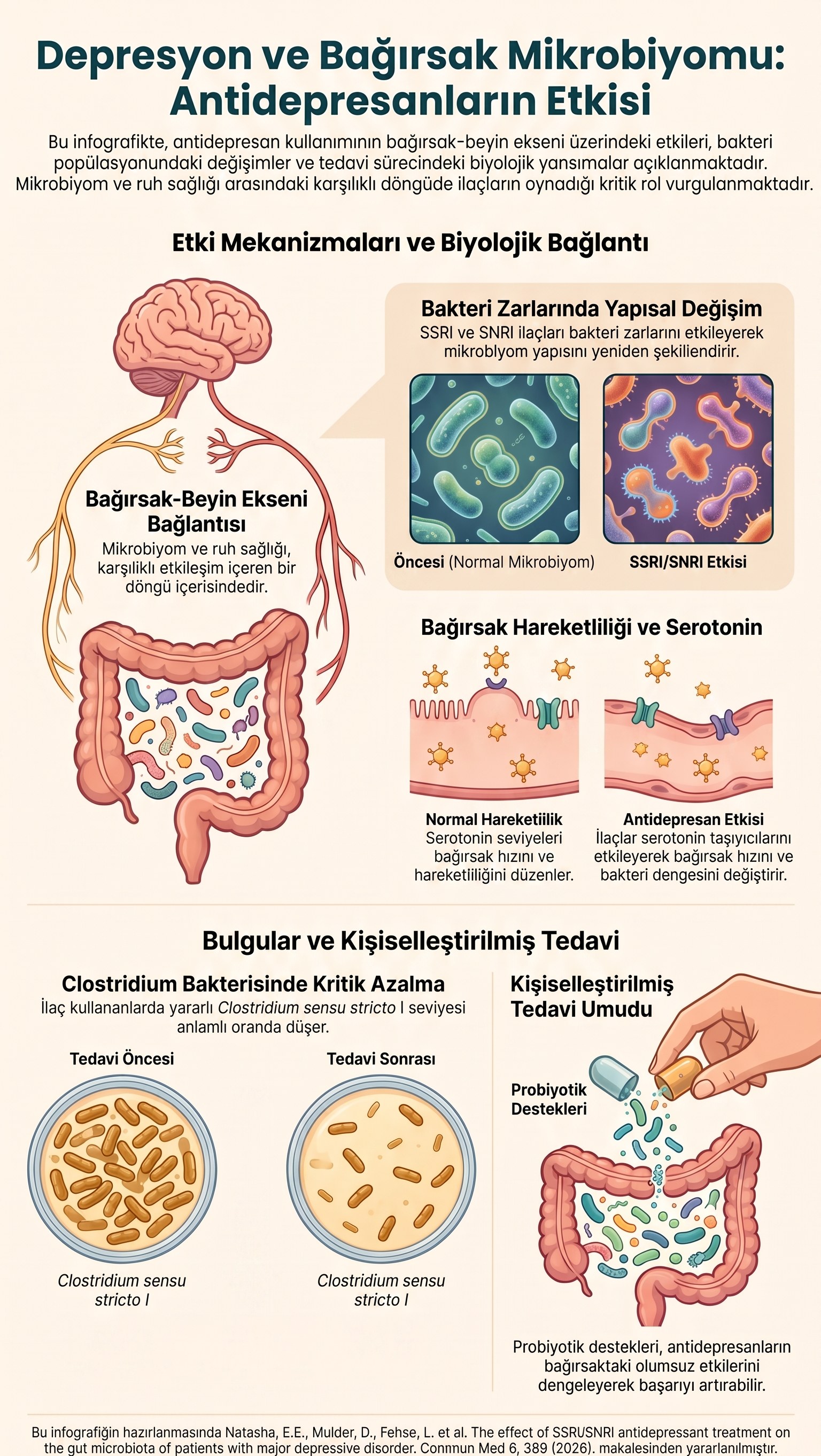 Depresyon ve bağırsak mikrobiyomu infografiği: mikrobiyom ile ruh sağlığının karşılıklı etkileşim içinde olduğu bağırsak-beyin ekseni; SSRI ve SNRI ilaçlarının bakteri zarlarını etkileyerek mikrobiyom yapısını değiştirmesi; serotoninin bağırsak hareketliliğini düzenlemesi ve ilaçların serotonin taşıyıcıları üzerinden bu hızı ile bakteri dengesini değiştirmesi; ilaç kullananlarda yararlı Clostridium sensu stricto düzeyinin düşmesi; probiyotik desteğinin bu olumsuz etkileri dengeleyerek tedavi başarısına katkı sağlayabileceği yönündeki kişiselleştirilmiş tedavi beklentisi.